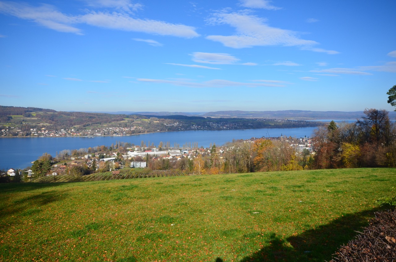 ter-tentum-MERITUS_00980 Large
